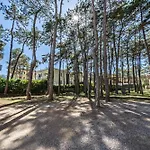 Andromeda B2 아파트